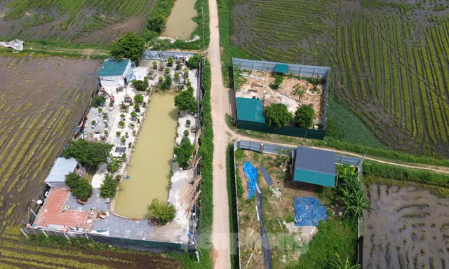 Nhiều công trình vi phạm đất đai, trật tự xây dựng ở Hà Nội chưa được xử lý dứt điểm