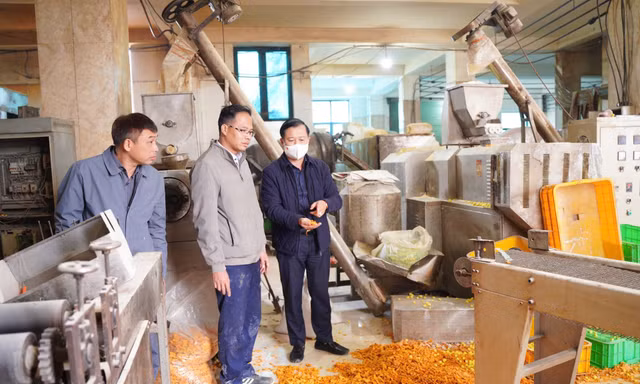Hà Nội: Gần 1.000 cơ sở vi phạm an toàn thực phẩm bị xử phạt, chuyển 4 vụ sang cơ quan điều tra