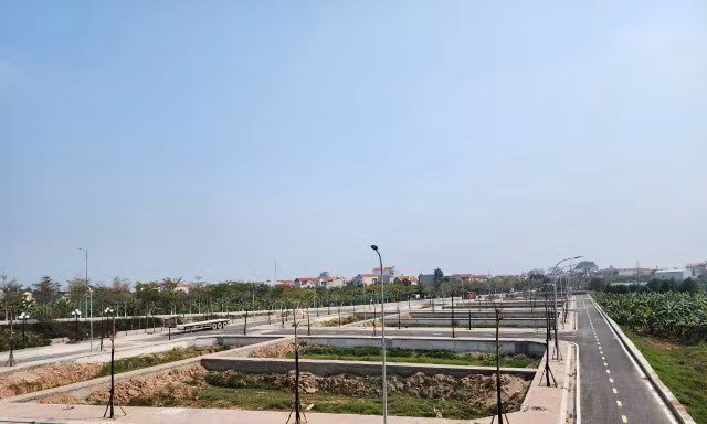 Một điểm đấu giá quyền sử dụng đất ở tại xã Hạ Mỗ, huyện Đan Phượng, Hà Nội