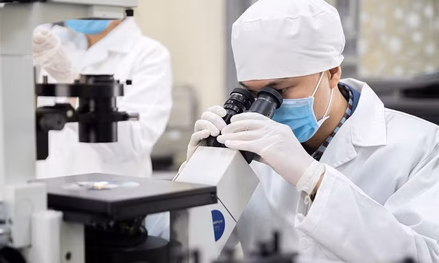 Việt Nam có 9 người lọt nhóm 10.000 nhà khoa học ảnh hưởng nhất thế giới
