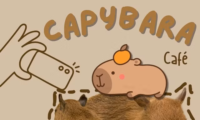 Bạn trẻ hào hứng check-in quán cà phê với 'nhân viên' là những chú chuột Capybara