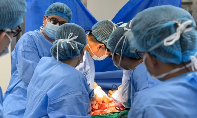 Hồi sinh sự sống từ 'món quà cuối cùng' của người xa lạ