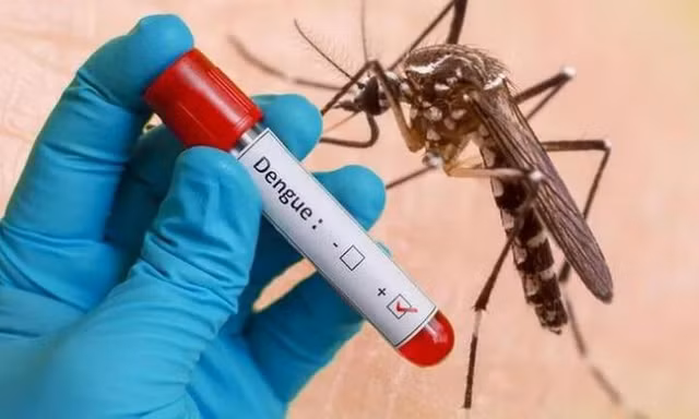 Hà Nội: 4 ca tử vong vì sốt xuất huyết, ghi nhận thêm chủng virus mới