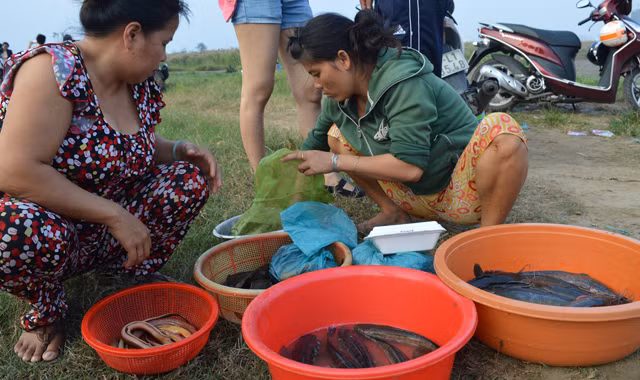 Thợ săn thành phố - bài cuối: Thân lươn bao quản lấm đầu…