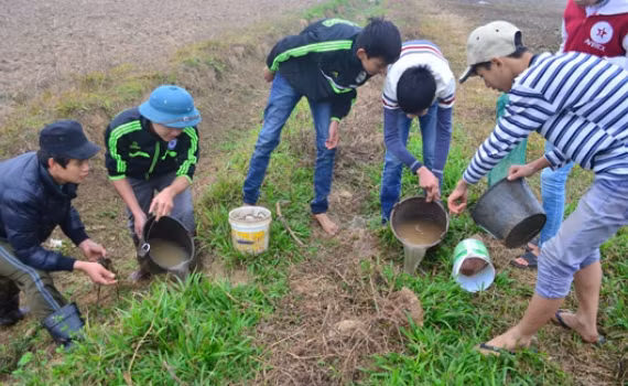 Hàng tấn thuốc diệt chuột cấm lưu hành đang được sử dụng ở TP Thanh Hóa