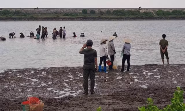 Hình ảnh đăng tải trên các trang mạng cho rằng chính quyền Nam Điền "bật đèn xanh" cho dân đi hôi của - Ảnh: mạng xã hội