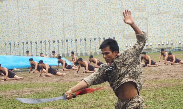Sử dụng đao kiếm nhuần nhuyễn.