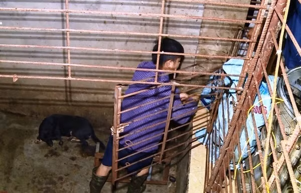 Chiếc hầm bí mật trong đường dây trộm hơn 100 tấn chó ở Thanh Hóa