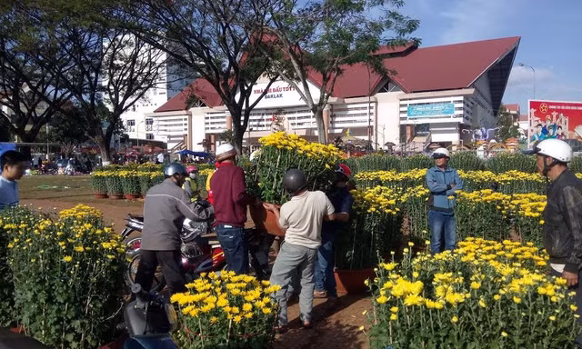 Đắk Lắk: Chợ hoa Tết ế ẩm 
