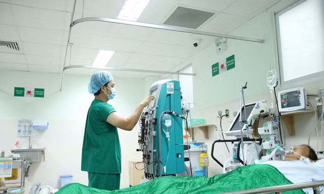Bệnh nhân dần hồi phục sau khi bị ong đốt.