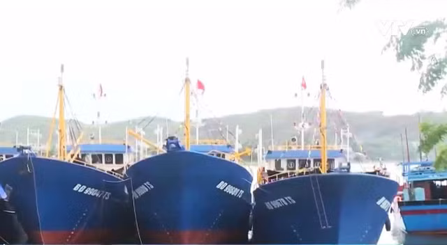 Phó Thủ tướng yêu cầu kiểm tra các cơ sở đóng mới tàu cá vỏ thép