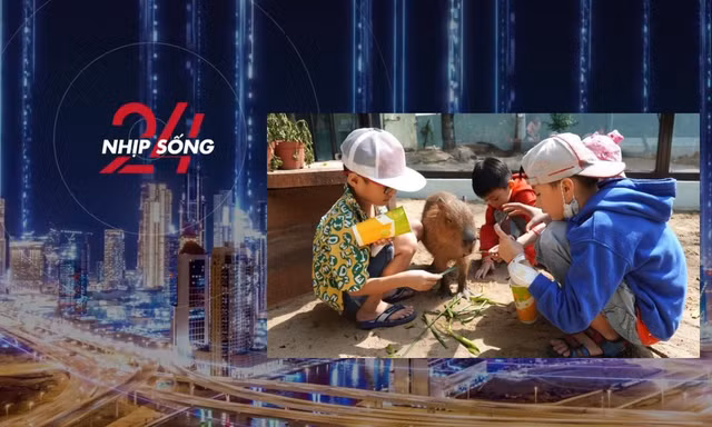 NHỊP SỐNG 24: Chơi với capybara ngoài đời thật tại Thảo Cầm Viên