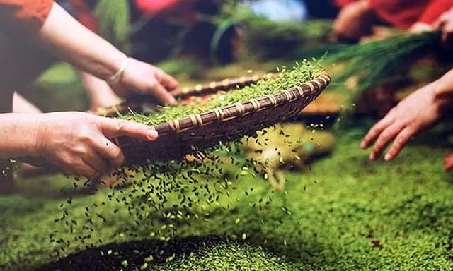 Người dân Tú Lệ tất bật 'bội thu' với đặc sản Tây Bắc
