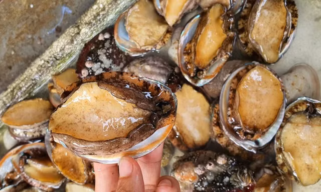 Hà Nội không khan hàng khẩu trang y tế và nước sát khuẩn, loạn giá bào ngư trên chợ mạng