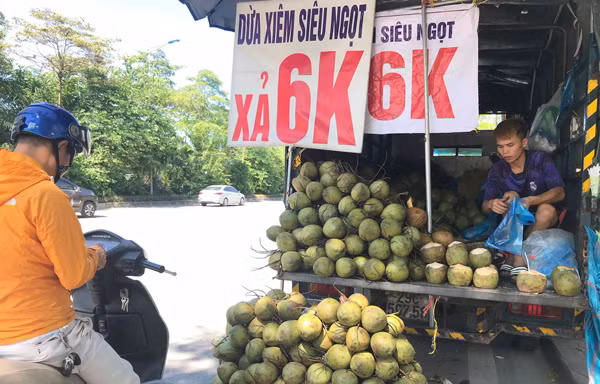 Thị trường ngày 30/10: Sự thật dừa xiêm 6000đ/quả, kẹo sâm chứa chất kích dục bán tràn lan