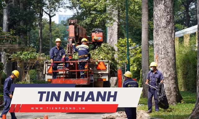 TIN NHANH: Ám ảnh khi thấy 5 người bị cây rơi trúng tại công viên Tao Đàn