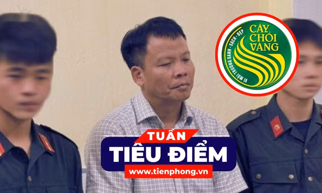 TIÊU ĐIỂM: Vụ án tại Tạp chí Môi trường và Đô thị rất phức tạp, thủ đoạn tinh vi, nhiều bị hại