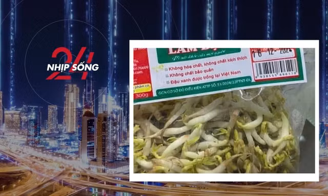 NHỊP SỐNG 24: 'Nước kẹo' trong gần 3000 tấn giá đỗ vừa bị phát hiện là gì?
