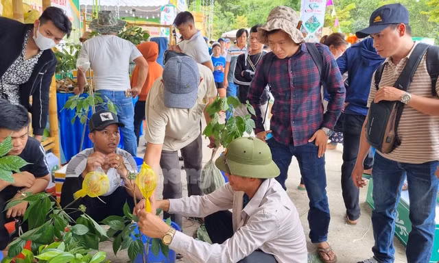 Tận thấy phiên chợ tiền tỷ của các 'đại gia chân đất'