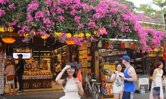 Bạn trẻ mê mẩn check in với loài hoa 'đặc sản' phố cổ Hội An