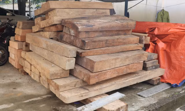 Gần 5m3 gỗ không có giấy tờ hợp pháp nằm trên đất của Trưởng phòng Nội vụ ở Quảng Nam