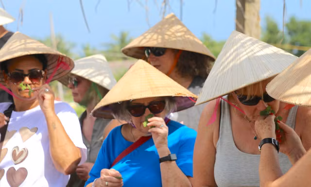 Lá cây bé xíu ở Hội An có gì mà đoàn khách Tây thi nhau hít hà? 