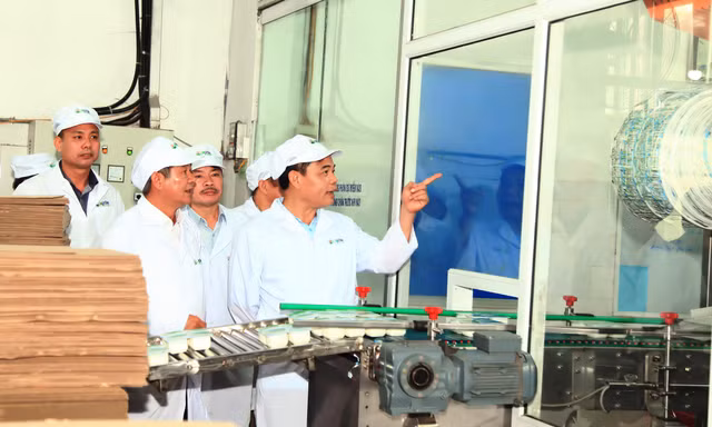 Bộ trưởng Bộ NN&PTNT Nguyễn Xuân Cường tới thăm nhà máy chế biến sữa của Công ty Cổ phần Giống bò sữa Mộc Châu