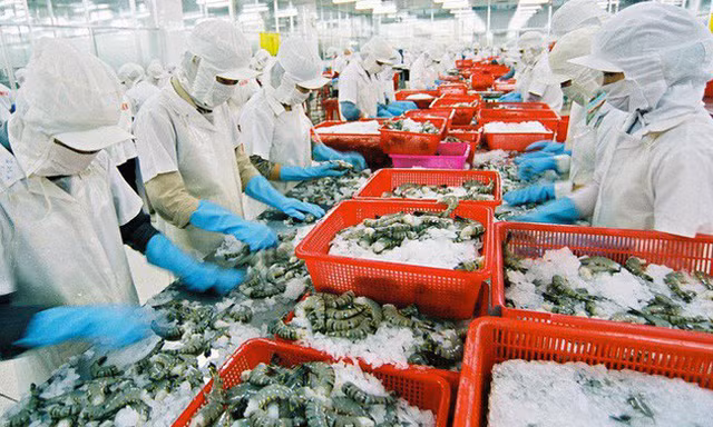Việc Mỹ công bố kết quả cuối cùng của đợt rà soát hành chính lần thứ 13 (POR 13) về thuế chống bán phá giá tôm Việt Nam với 31 doanh nghiệp được hưởng mức thuế 0% sẽ giúp xuất khẩu tôm Việt Nam thuận lợi hơn trong thời gian tới.