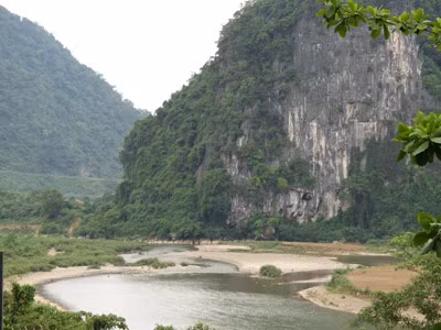 Lâm tặc đốn hạ hai cây sưa trăm tỷ ở Trường Sơn