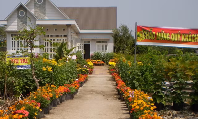 Một nhà hoa đoạt giải nhất.