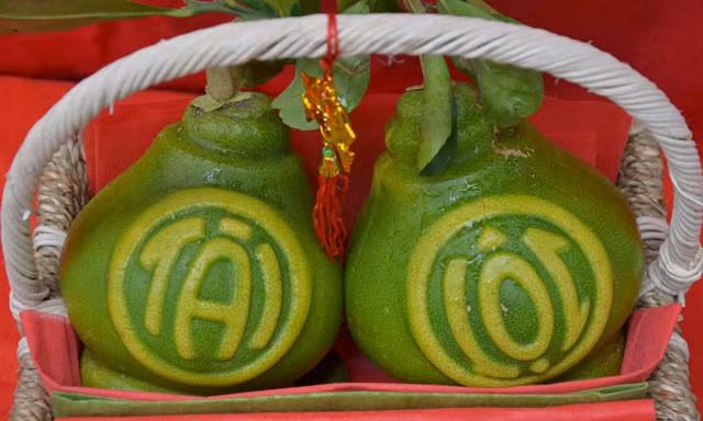 Hà Nội: Hơn 2 triệu một cặp bưởi hồ lô 'Tài Lộc' chưng Tết