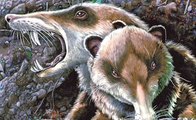 Phát hiện hóa thạch động vật có vú 220 triệu năm