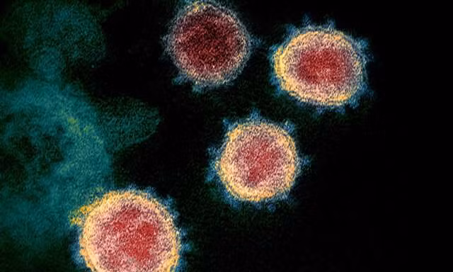 Virus SAR-CoV-2 có thể bị tiêu diệt bởi thuốc redemsivir