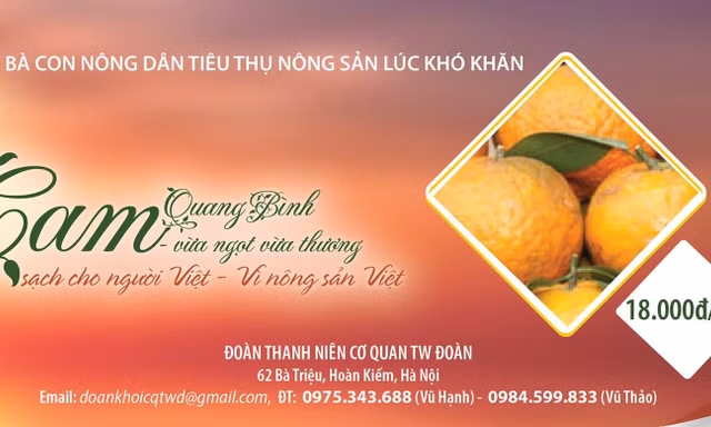 Chung tay đưa cam sạch cho người Việt