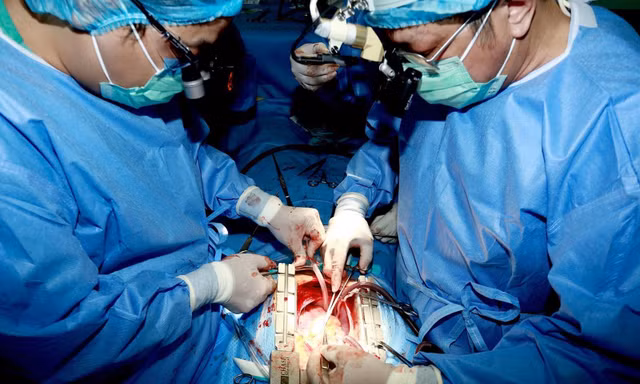 Thực hiện phẫu thuật, ghép tim cho người bệnh tại Bệnh viện Trung ương Huế.