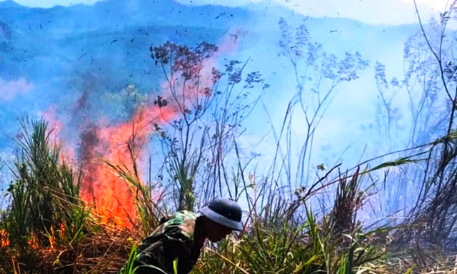 Lại xảy ra cháy rừng tại tỉnh TT-Huế