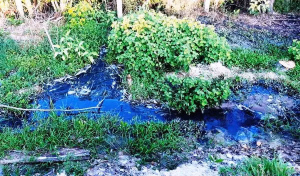 Nhà máy tinh bột sắn TT-Huế (xã Phong An, huyện Phong Điền, tỉnh TT-Huế) đã có hành vi vi phạm các quy định về xả nước thải 