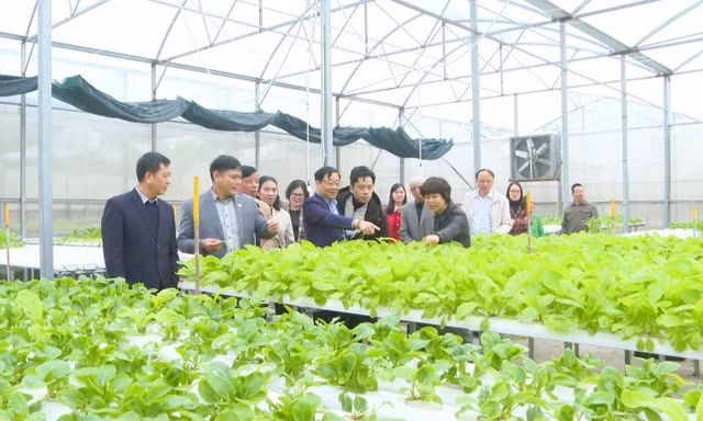 Hà Nội hoàn thành nhiệm vụ xây dựng nông thôn mới 