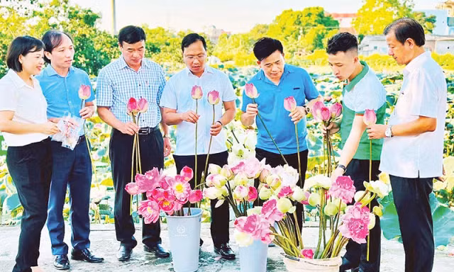Những 'trái ngọt' từ nông thôn mới của huyện Ứng Hoà
