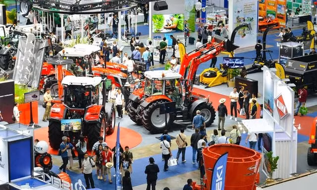 Điểm yếu của các nền sản xuất lúa châu Á là gì?