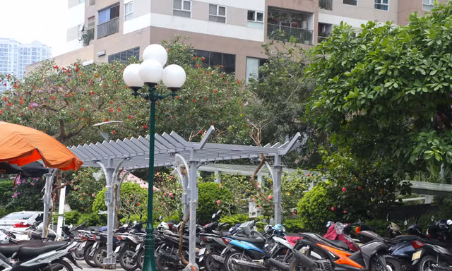 Giàn hoa trang trí đô thị bị xe cộ và biển quảng cáo 'bủa vây'
