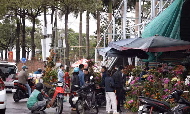 27 Tết, người dân 'đội' mưa mua đào, quất giảm giá