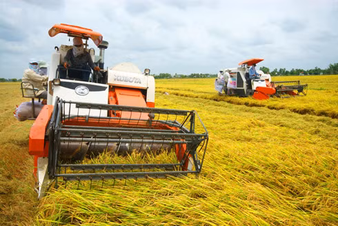Theo Thứ trưởng Bộ NN&PTNT Lê Quốc Doanh, phát triển sản xuất nông nghiệp là giải pháp thực hiện sáng kiến “không còn nạn đói” và “giảm nghèo” hiệu quả nhất ở Việt Nam.