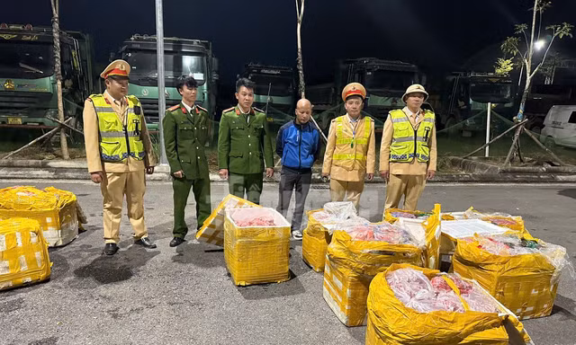 Phát hiện gần 1 tấn nội tạng động vật hôi thối trên đường từ Hà Nội lên Điện Biên