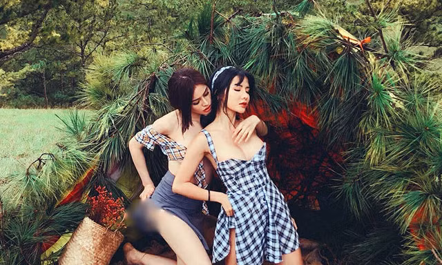 Bẻ cành thông làm phông nền và chụp ảnh phản cảm