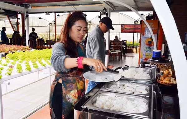 Buffet chay miễn phí tại Đà Lạt