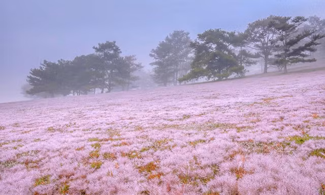 Đường đua trekking tuyện đẹp trên cao nguyên.