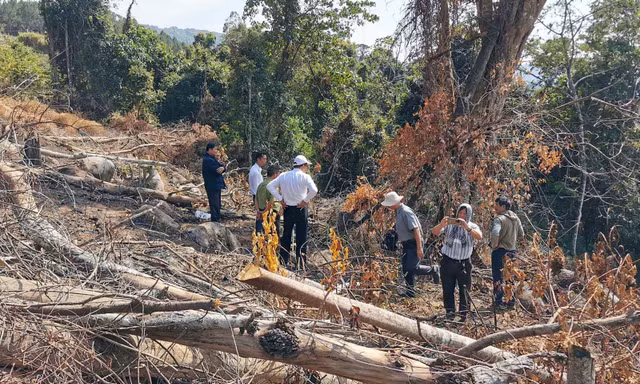 Hiện trường vụ phá rừng tại tiểu khu 158B
