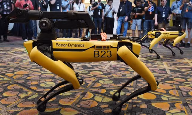 Chó máy Spot. Ảnh: Getty.