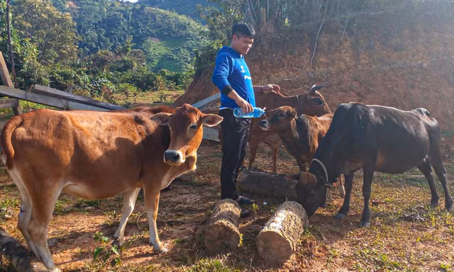 Khởi nghiệp nơi biên cương 